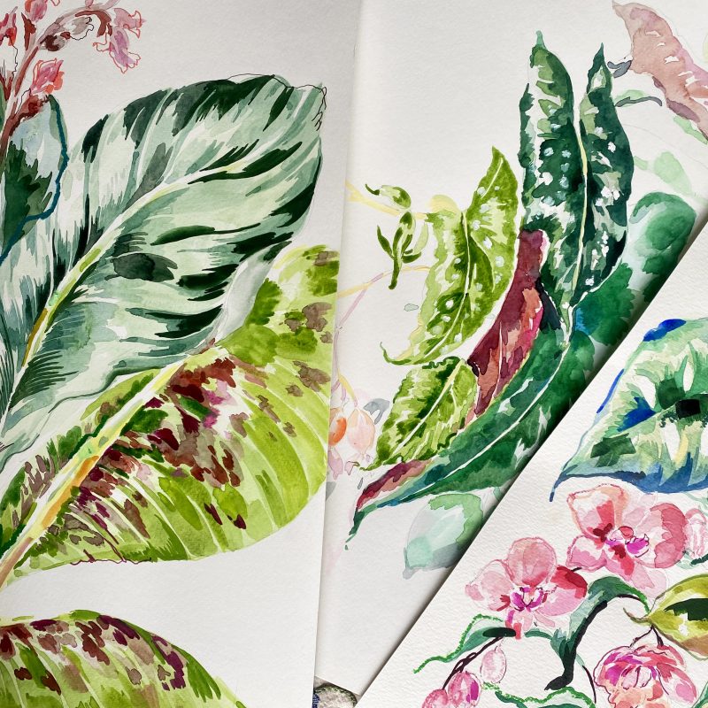 Tropical Plants and Flowers in Watercolour - Saturday 18th July- The Old Fire Station- Port Sunlight.